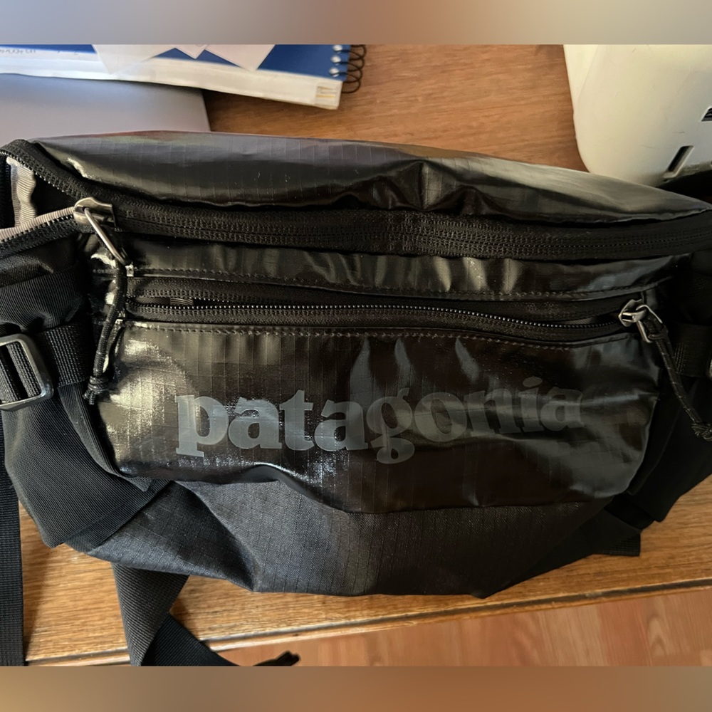 New Patagonia Belt Bag